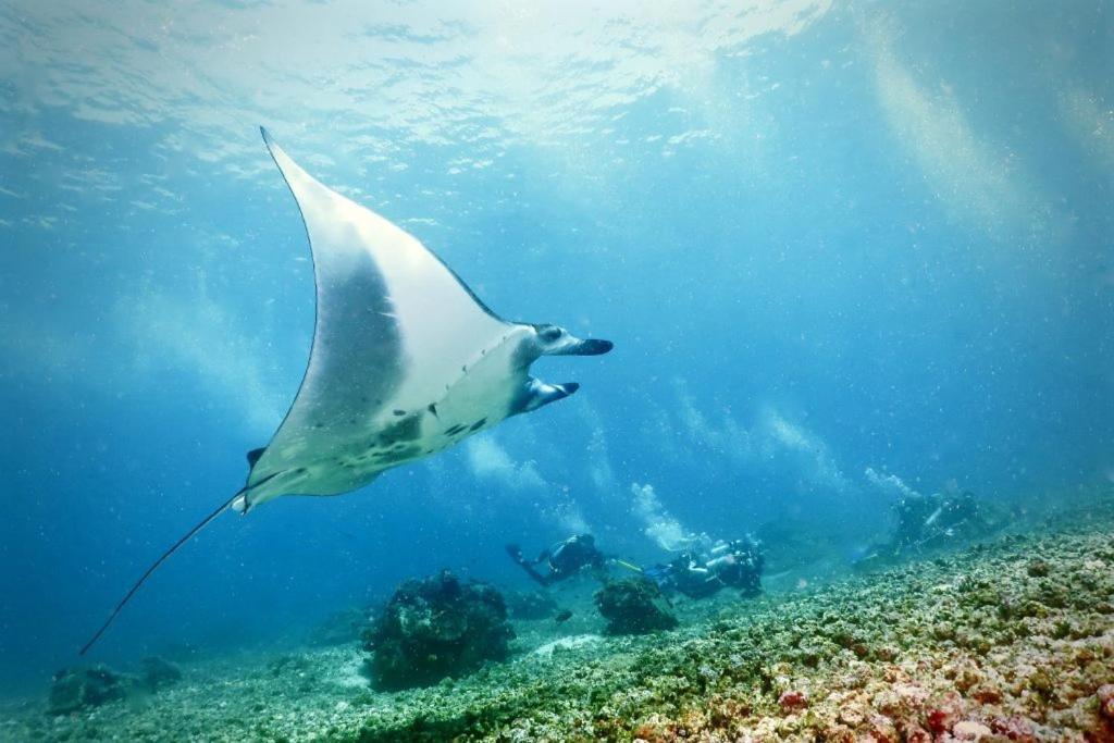 Komodo Resort Sebayur Εξωτερικό φωτογραφία