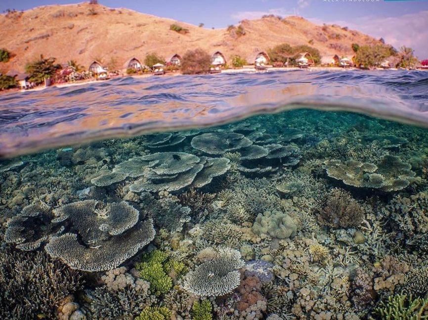 Komodo Resort Sebayur Εξωτερικό φωτογραφία